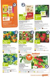 Catalogue Jardiland page 7