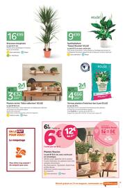 Catalogue Jardiland page 9
