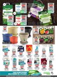 Checkers catalogue Page 15