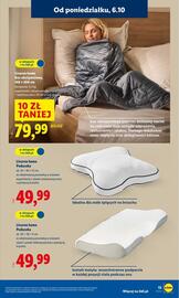 Lidl gazetka tydzień 41 Strona 13