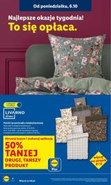 Lidl gazetka tydzień 41 Strona 2