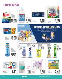 Volantino Supermercati Piccolo Pagina 22