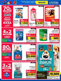 Folleto Carrefour Maxi semana 40 Página 21