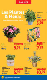 Catalogue Lidl semaine 40 page 28