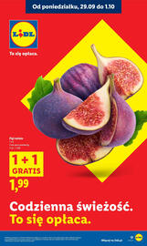 Lidl gazetka Strona 19