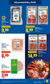 Lidl gazetka Strona 33