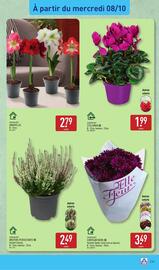 Catalogue ALDI semaine 41 page 45