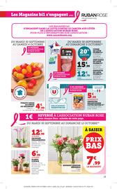 Catalogue Bi1 page 13