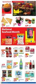 Lidl weekly ad week 40 Page 3