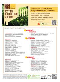 Volantino Conad Pagina 16