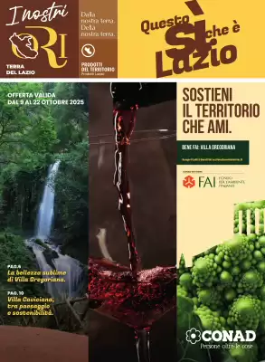 Volantino Conad (valido fino al 22-10)