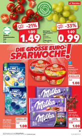 Kaufland Prospekt Seite 13