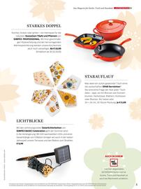 Maximarkt Flugblatt Seite 5