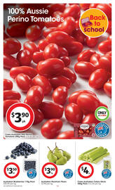 Coles catalogue week 40 Page 16