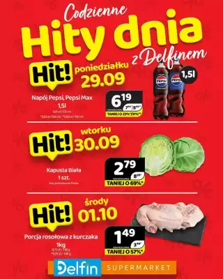 Delfin gazetka (ważność do 1-10)