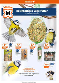 Müller Flugblatt woche 40 Seite 19