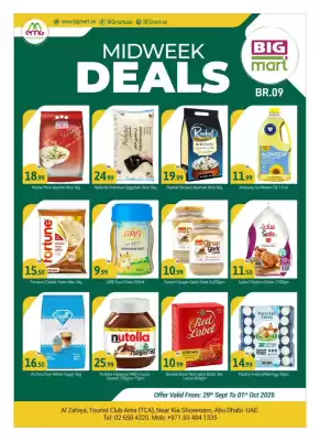 Bigmart leaflet