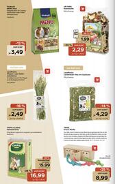 ZOO & Co Flugblatt woche 40 Seite 10
