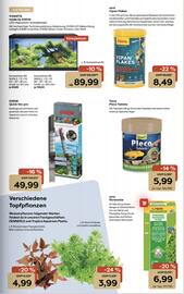 ZOO & Co Flugblatt woche 40 Seite 11