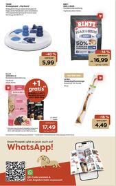 ZOO & Co Flugblatt woche 40 Seite 12
