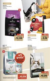 ZOO & Co Flugblatt woche 40 Seite 3