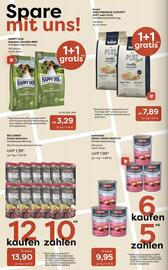 ZOO & Co Flugblatt woche 40 Seite 6