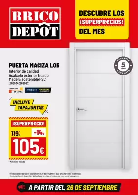 Catálogo Brico Depôt (válido hasta el 30-10)