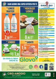 Volantino Ciro Amodio Pagina 12
