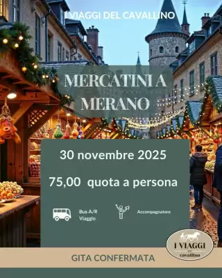 Volantino I Viaggi del Cavallino (valido fino al 30-11)