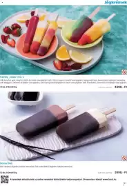 Family Frost akciós újság Oldal 21