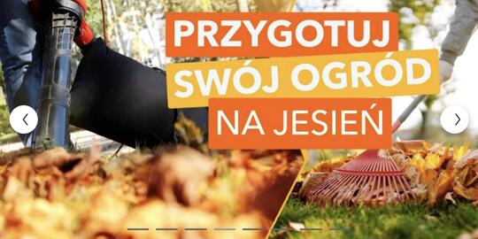 Avans gazetka Strona 4