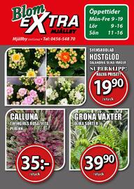 Extra Mjällby Stormarknad reklamblad vecka 40 Sida 16