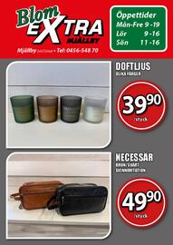 Extra Mjällby Stormarknad reklamblad vecka 40 Sida 17