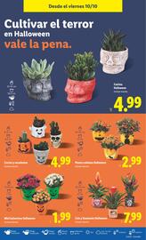 Catálogo Lidl semana 41 Página 35