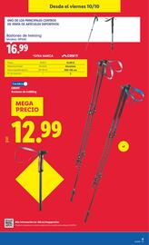 Catálogo Lidl | de Bazar Página 13