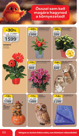 Auchan akciós újság hét 40 Oldal 60
