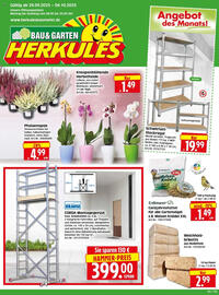 Edeka Herkules Prospekt woche 40 Seite 1