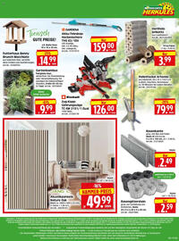 Edeka Herkules Prospekt woche 40 Seite 16