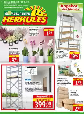 Edeka Herkules Prospekt (gültig bis 4-10)