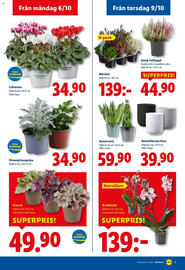 Lidl reklamblad vecka 41 Sida 20