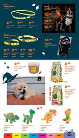 Happyland folder Pagina 17