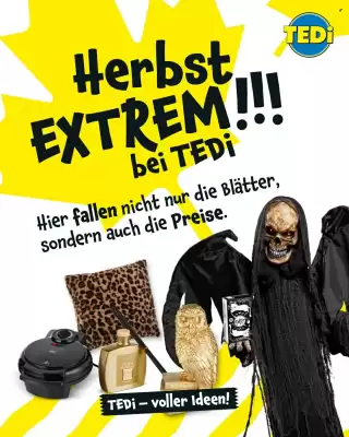 TEDi Prospekt (gültig bis 6-10)