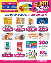 Catálogo Surtifamiliar Página 12