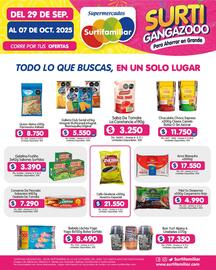Catálogo Surtifamiliar Página 13