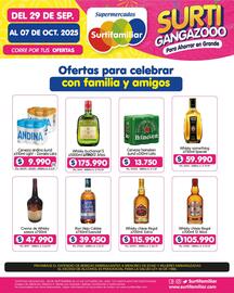 Catálogo Surtifamiliar Página 14
