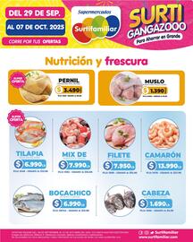 Catálogo Surtifamiliar Página 15