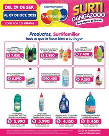 Catálogo Surtifamiliar Página 17