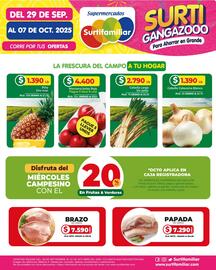 Catálogo Surtifamiliar Página 4