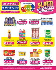 Catálogo Surtifamiliar Página 5
