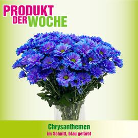 Blumen B&B Flugblatt Seite 1